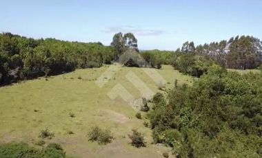 Sitio en Venta en pargua ruta V-972