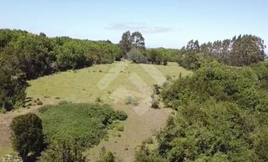 Sitio en Venta en pargua ruta V-972