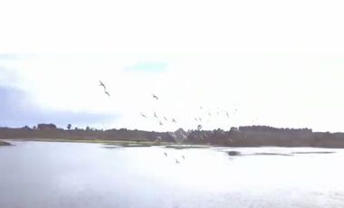 Sitio en Venta en pargua ruta V-972