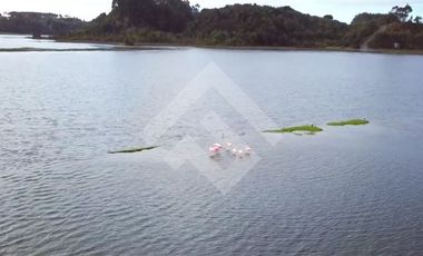 Sitio en Venta en pargua ruta V-972