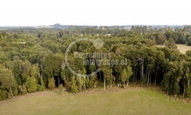 Sitio en Venta en Los Muermos