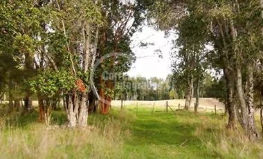 Sitio en Venta en Los Muermos