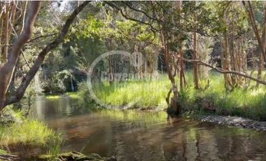 Sitio en Venta en Los Muermos