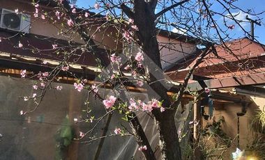 Local Comercial en Venta en Segunda transversal