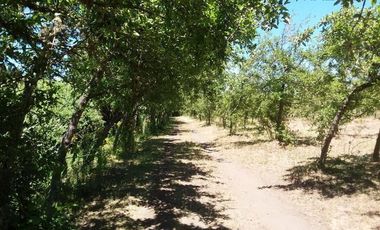 Parcela en Venta en Camino al Peral Km 17