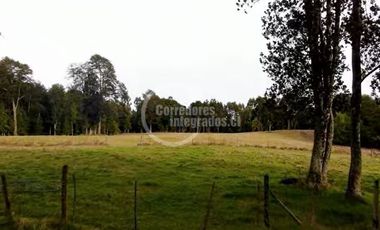 Parcela en Venta en Los Muermos