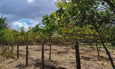Parcela en Venta en San Carlos Puren - Retén Carabineros