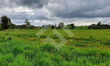 Parcela en Venta en Mantilhue