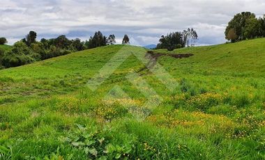 Parcela en Venta en Mantilhue