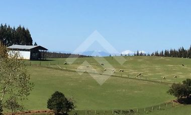 Sitio en Venta en a 7 kms desde La Unión ruta t80 camino a Hueicolla Sur Oeste de la Unión