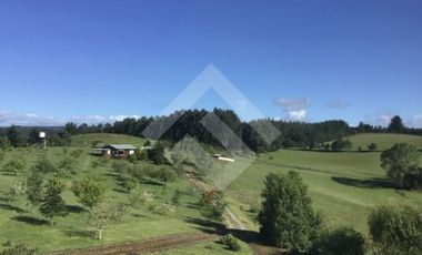 Sitio en Venta en a 7 kms desde La Unión ruta t80 camino a Hueicolla Sur Oeste de la Unión