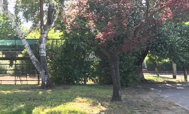 Sitio en Venta en Población Iansa