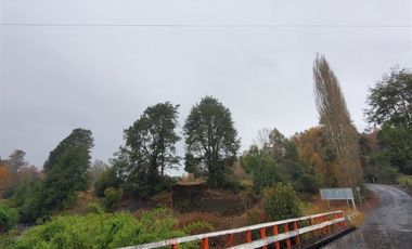 Agrícola en Venta en Crucero Rio Bueno