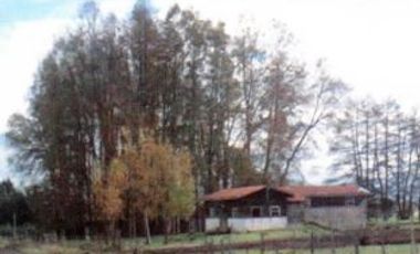 Agrícola en Venta en Crucero Rio Bueno