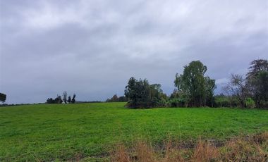 Agrícola en Venta en Crucero Rio Bueno