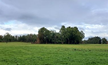 Agrícola en Venta en Crucero Rio Bueno