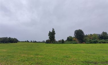 Agrícola en Venta en Crucero Rio Bueno