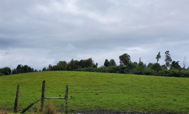 Agrícola en Venta en Crucero Rio Bueno