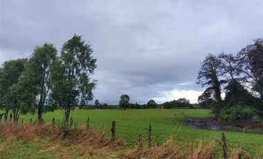 Agrícola en Venta en Crucero Rio Bueno