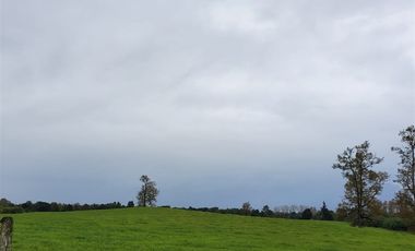 Agrícola en Venta en Crucero Rio Bueno