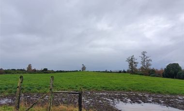 Agrícola en Venta en Crucero Rio Bueno