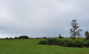 Agrícola en Venta en Crucero Rio Bueno