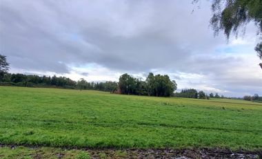 Agrícola en Venta en Crucero Rio Bueno