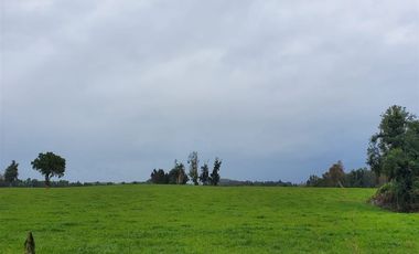 Agrícola en Venta en Crucero Rio Bueno