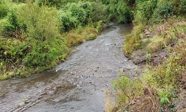 Agrícola en Venta en Crucero Rio Bueno