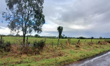 Agrícola en Venta en Crucero Rio Bueno