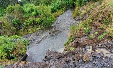 Agrícola en Venta en Crucero Rio Bueno