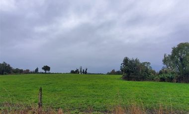 Agrícola en Venta en Crucero Rio Bueno