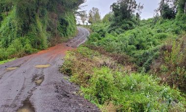 Agrícola en Venta en Crucero Rio Bueno