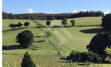 Parcela en Venta en a 7 kms desde La Unión ruta t80 camino a Hueicolla Sur Oeste de la Unión