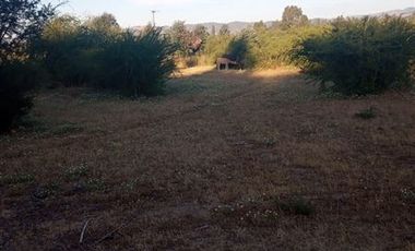 Parcela en Venta en Fundo en Nilahue Alto