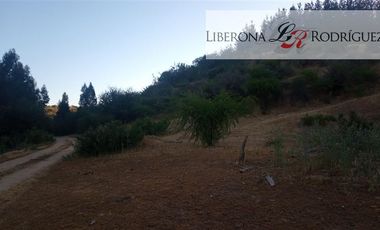 Parcela en Venta en Fundo en Nilahue Alto
