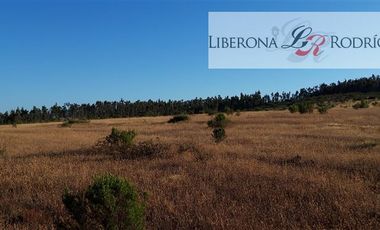 Parcela en Venta en Fundo en Nilahue Alto