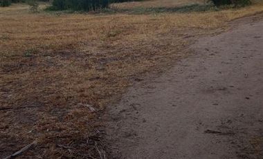 Parcela en Venta en Fundo en Nilahue Alto