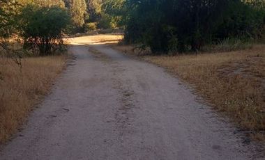 Parcela en Venta en Fundo en Nilahue Alto