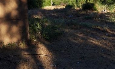 Parcela en Venta en Fundo en Nilahue Alto