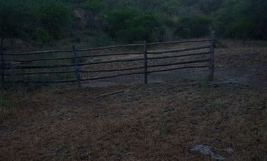 Parcela en Venta en Fundo en Nilahue Alto