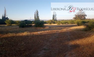 Parcela en Venta en Fundo en Nilahue Alto