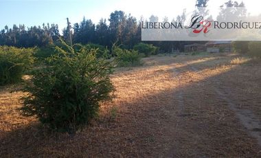 Parcela en Venta en Fundo en Nilahue Alto