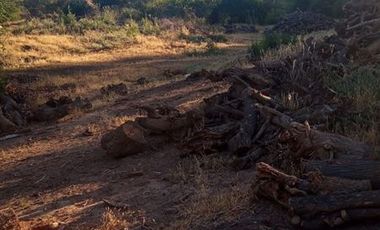 Parcela en Venta en Fundo en Nilahue Alto