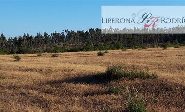 Parcela en Venta en Fundo en Nilahue Alto
