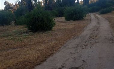 Parcela en Venta en Fundo en Nilahue Alto