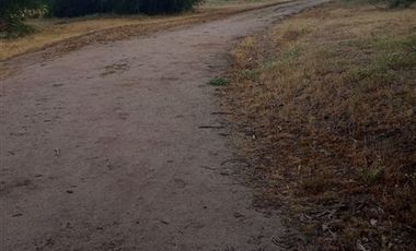 Parcela en Venta en Fundo en Nilahue Alto