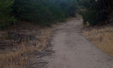 Parcela en Venta en Fundo en Nilahue Alto