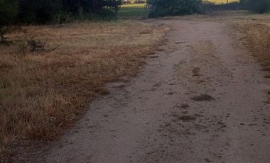 Parcela en Venta en Fundo en Nilahue Alto