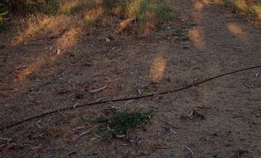 Parcela en Venta en Fundo en Nilahue Alto